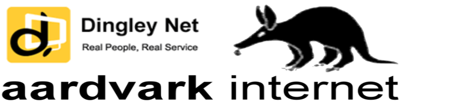 Aardvark internet